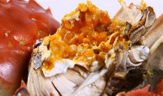 阳澄湖大闸蟹价格