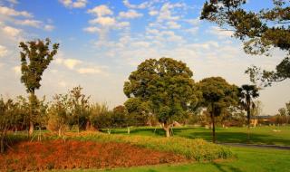 昆山花桥国际商务城