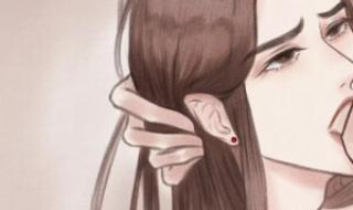 二哈和他的白猫师尊1