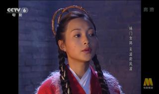 杨门女将天波府风波