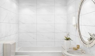 卫生间地砖效果图