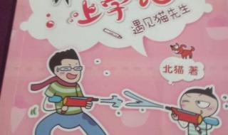 学生申请带猫上学