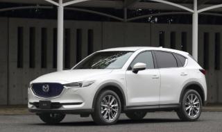 100周年LOGO设计图