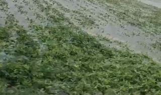 郑州暴雨后人间百态