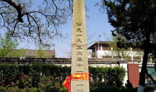 鲜为人知是什么意思