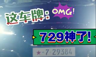 729车牌是什么意思