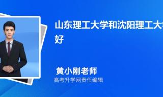 山东理工大学分数线