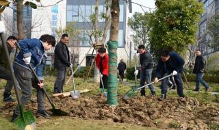 我和春天有个约会40