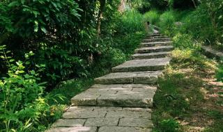 深圳塘朗山郊野公园