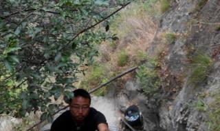 远方的家边疆行全集