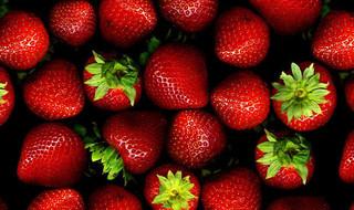 好看的手机壁纸图片